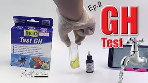 Tetra Gh Test Ep 2 Tap Water
