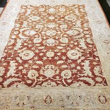 social a advanced carpet rug care