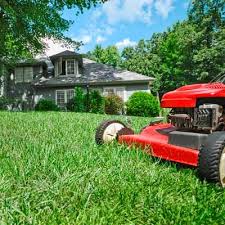 Grass Cutting Service Archives Top Cut Lawn Care