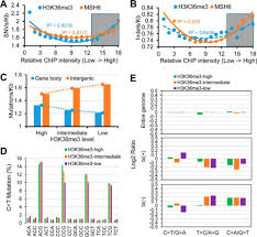 A group of three mrna nucleotides encodes for a specific amino acid and is called a codon. H3k36me3 Mediated Mismatch Repair Preferentially Protects Actively Transcribed Genes From Mutation Journal Of Biological Chemistry