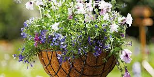 Free delivery over £40 to most of the uk great selection excellent customer service find everything for a.this plant pot is made from recycled plastic and features a distinctive brick pattern set against either a painted antique silver with black or antique. Pots Planters And Hanging Baskets Buying Guide Homebase
