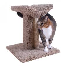 carpet cat furniture solid wood