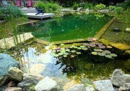 waterproofing your pond or pool diy