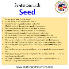 sentences with seed seed in a sentence