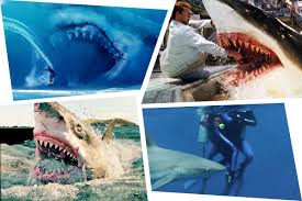 The story is strongest, however, when based on true events and figures. The 12 Best Shark Movies Since Jaws Ranked