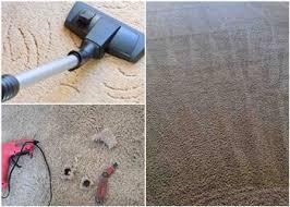 clean carpet solutions llc in miramar