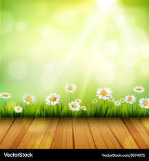 spring background with daisies royalty