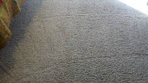 upholstery carpet care reviews