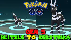 Evolving BLITZLE TO ZEBSTRIKA IN POKEMON GO GEN 5 - YouTube