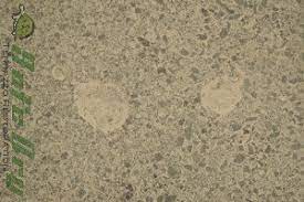 terrazzo chip and hole repair