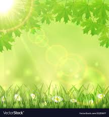 summer green nature background royalty