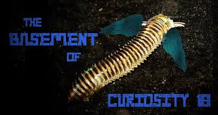 Basement Of Curiosity Episode Eighteen