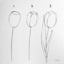 how to draw perfect flowers step by step