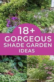 Shade Garden Design Ideas How To