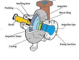 Centrifugal Pump Parts And Functions Mechanicallyinfo Com