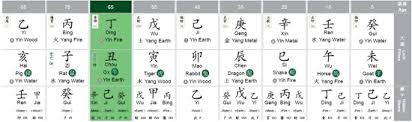 Megastar Chiranjeevi Bazi Chinese Astrology Analysis