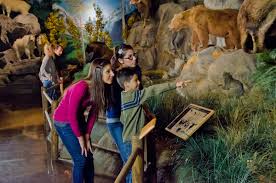 family fun in kansas museums zoos