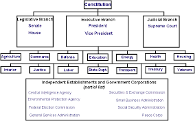10 True United States Government Structure Diagram