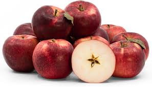 paula red apples information and facts