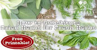 How To Substitute Dried Herbs For Fresh Herbs My Fearless