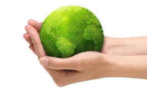 Resultado de imagen para el medio ambiente