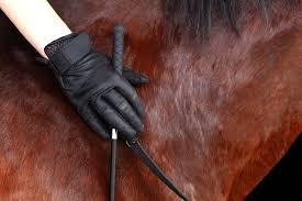 The Ultimate Guide To Horse Riding Gloves – Horse FactBook
