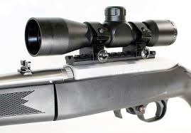 ruger 10 22 model scope sight