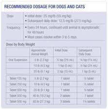 Clavamox Dosage Chart For Cats Yahoo Image Search Results
