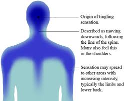 This is called referred pain, when you feel the pain. Asmr Wikipedia