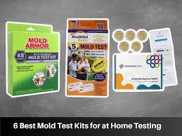 6 best mold test kits for at home testing