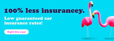 If you need car insurance for one day, buy temporary insurance in minutes at confused.com. The Truth About Vacancy And The 30 Day Home Insurance Rule