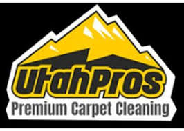 utah pros carpet cleaning in provo