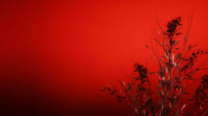 red background high quality 30678885