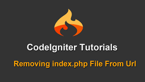 removing index php from url