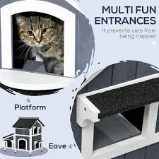 Outdoor Cat Shelter Enclosure