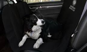 Akc Car Seat Covers For Pets Groupon