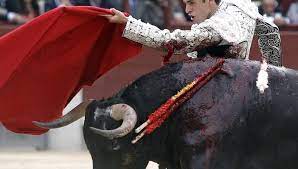Talavante, triste por la supresión de los toros en San Sebastián | Onda  Cero Radio