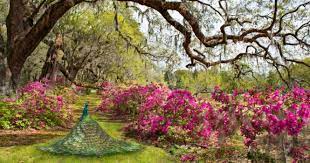 charleston is home to the oldest garden
