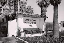 Monrovia Garden Center