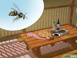 Keep Wasps Away From A Wood Deck