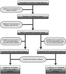 Flowchart For Estimating The Incidence Of Ncc Associated