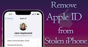 remove apple id from stolen lost iphone