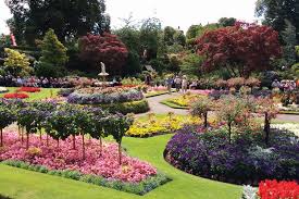 Shrewsbury In Bloom To Host Greenhouse