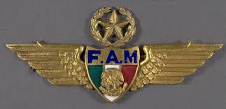 Армейские знаки в петлицах, на пуговицах, фуражках и флагах различных стран мира. ВВС. Часть 15 Армейские знаки в петлицах, на пуговицах, фуражках и флагах различных стран мира. ВВС. Часть 15 Авиация,Символизм,Армия,Униформа