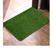 gr carpet indoor best in