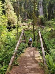 northern california hiking trails