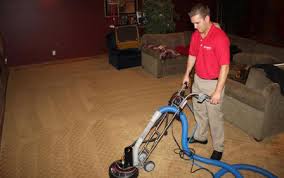 best carpet cleaning service momentum