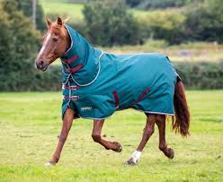 turnout rugs rugs horse shires