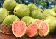 Image result for what fruits are native to peru
