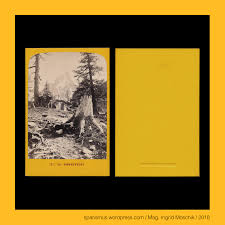 Joseph #Tairraz, photographe a #Chamonix, cdv-7, circa 1870 – #Hotel de  #Montanvert, Vue de #Montenvers, #Haute #Savoie, #France | Sparismus